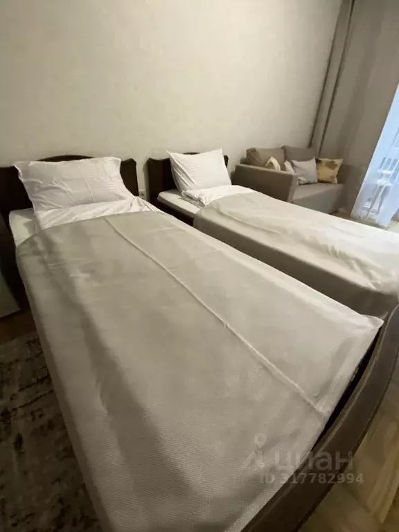 Студия Ставропольский край, Кисловодск Пограничная ул., 1 (20.0 м) - Фото 0