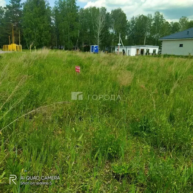 Участок в Алтайский край, Первомайский район, с. Фирсово ул. Ореста ... - Фото 0