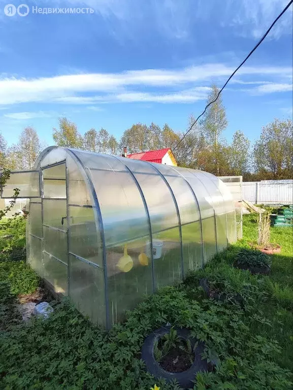 Участок в Вологда, садоводческое товарищество Рябинушка, 190 (10 м) - Фото 2