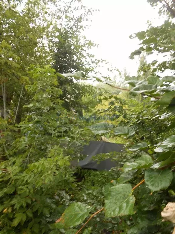 Участок в Нижний Новгород, улица Ломоносова, 21 (3.4 м) - Фото 1