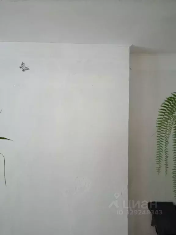 Помещение свободного назначения в Кировская область, Уни пгт ул. ... - Фото 1