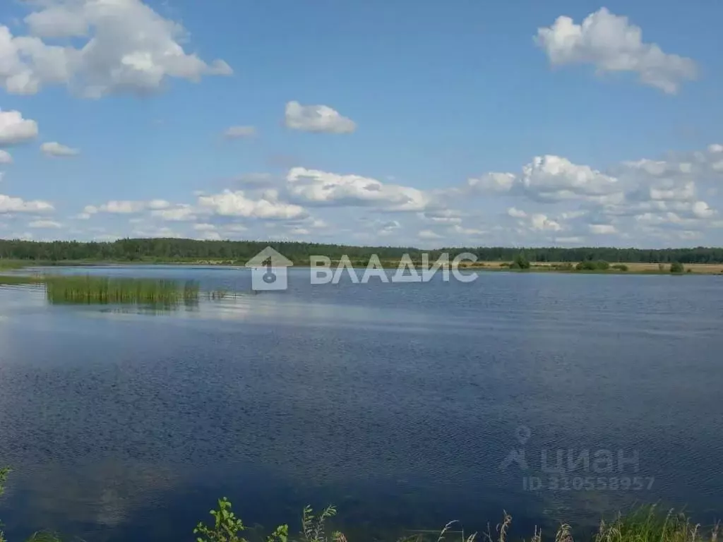 Участок в Владимирская область, Судогодский район, Вяткинское ... - Фото 1