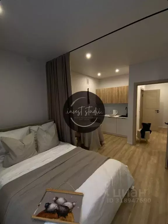 Студия Санкт-Петербург Лиговский просп., 51 (26.9 м) - Фото 0