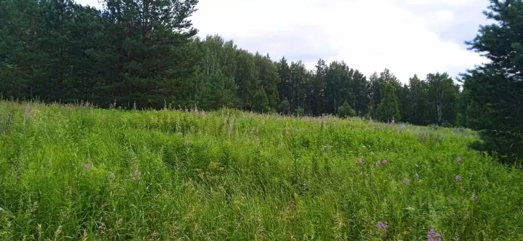 Участок в Свердловская область, Горноуральский городской округ, с. ... - Фото 1