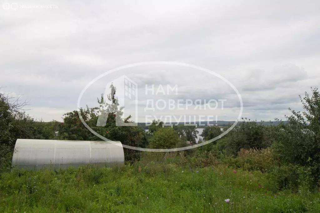 Участок в Чайковский, садовые участки № 37, 131 (5.19 м) - Фото 1