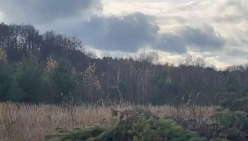 Участок в Московская область, Ступино пер. 2-й Знаменский (10.0 сот.) - Фото 1