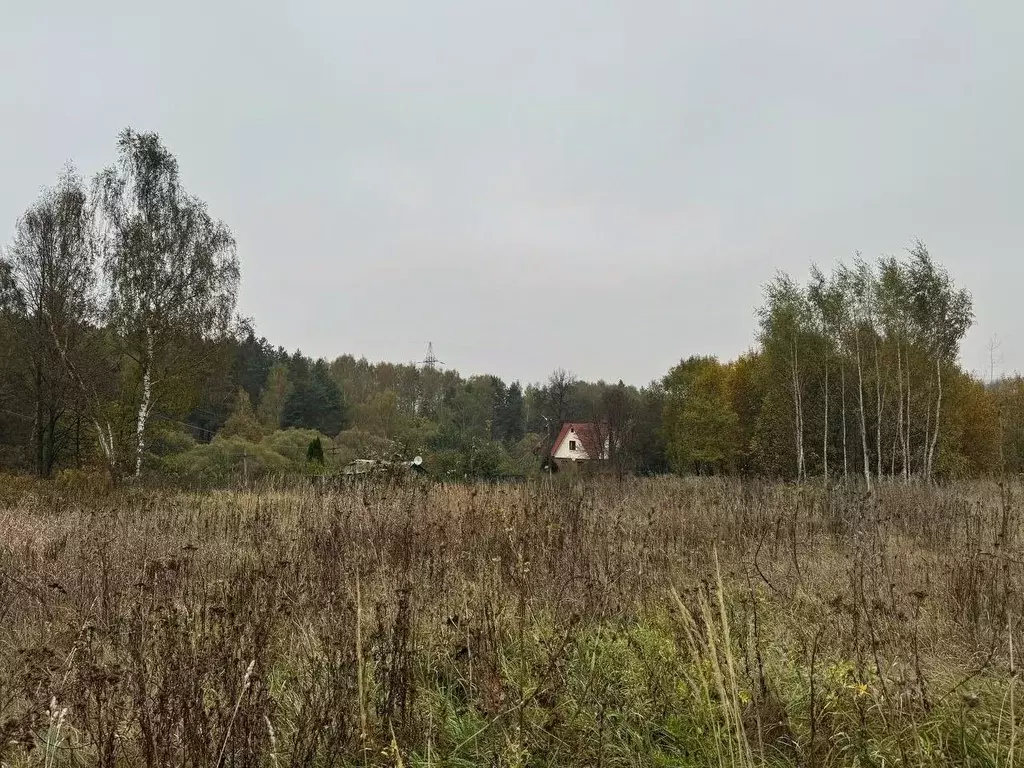 Участок в Московская область, Кашира городской округ, д. Сорокино  ... - Фото 0