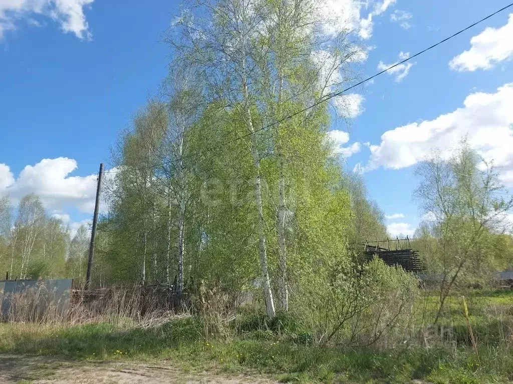 Участок в Тюменская область, Нижнетавдинский муниципальный округ, ... - Фото 1