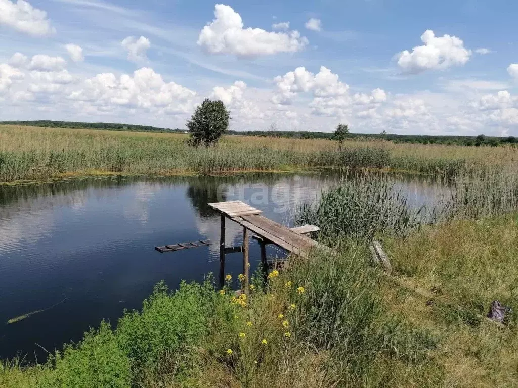 Участок в Воронежская область, Бобровский район, Верхнеикорецкое ... - Фото 0