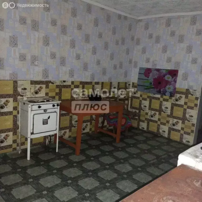 Дом в село Шебалино, улица Назарова (46.6 м) - Фото 2