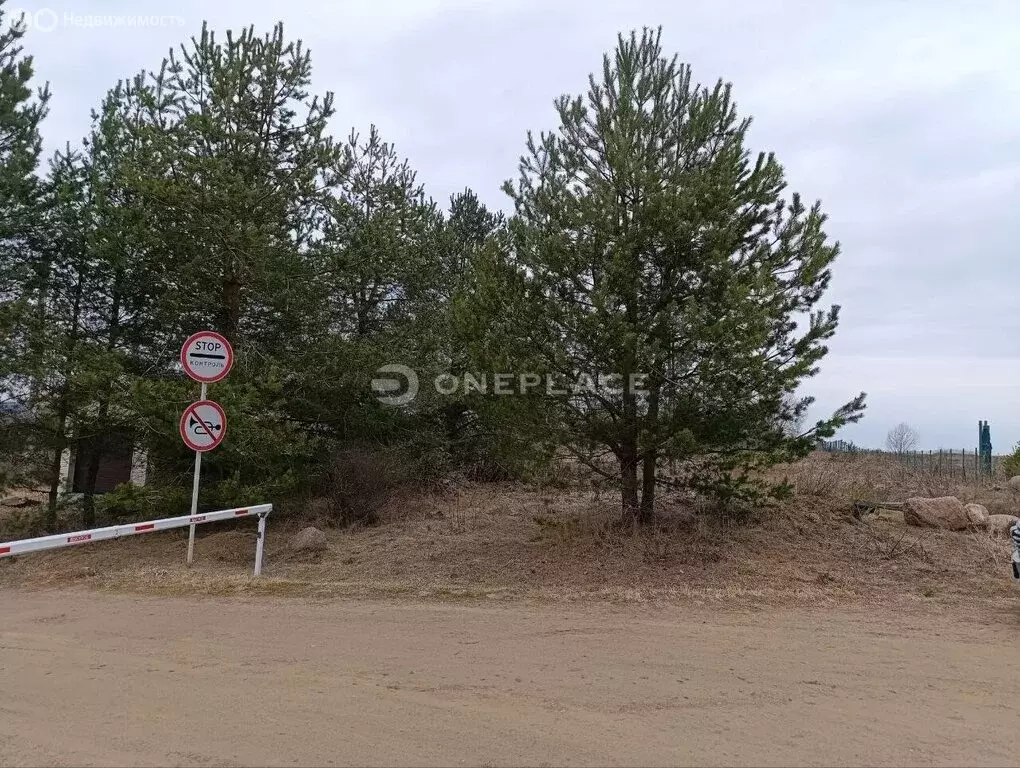 Участок в Выборгский район, Рощинское городское поселение, коттеджный ... - Фото 2