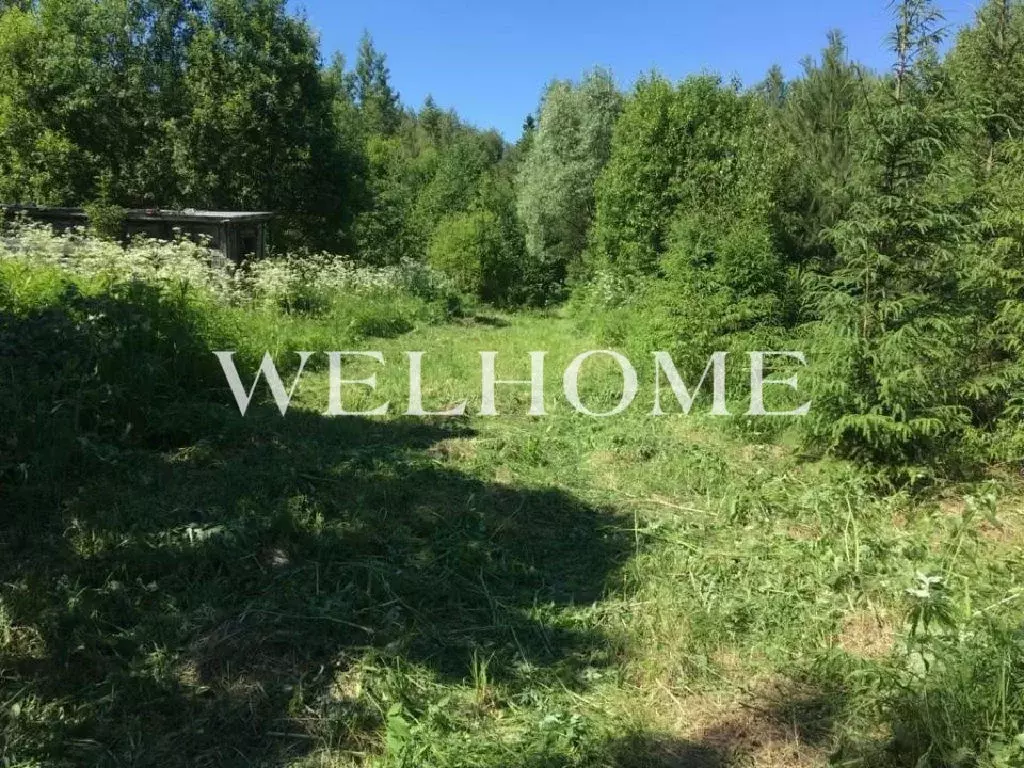 Продается участок в ДПК Оленев и К - Фото 1