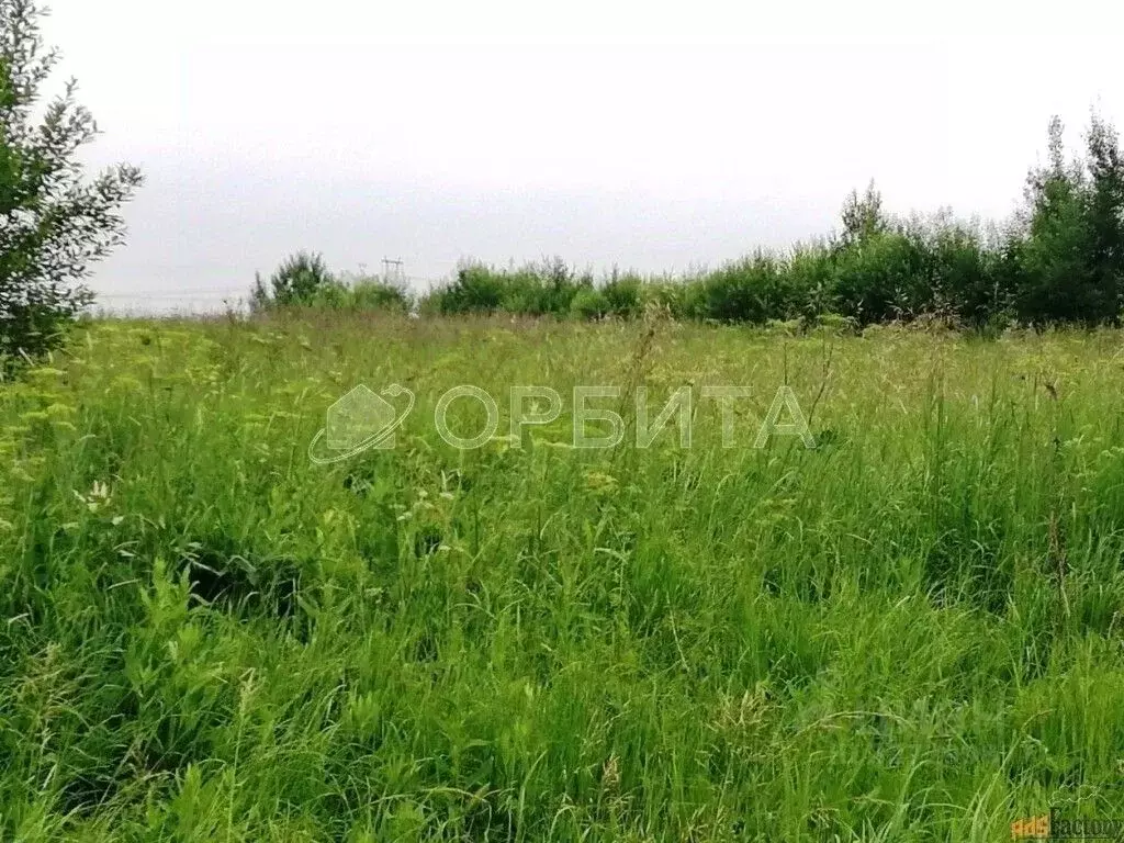 Участок в Тюменская область, Тюменский муниципальный округ, д. ... - Фото 2
