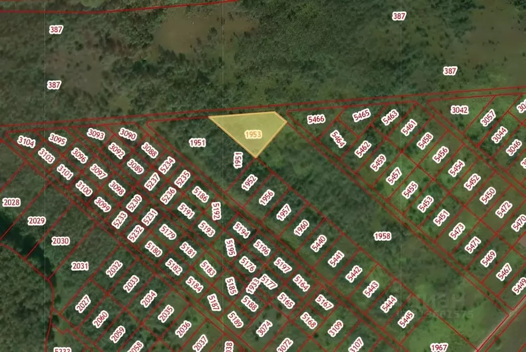 Участок в Нижегородская область, Богородский муниципальный округ, д. ... - Фото 2