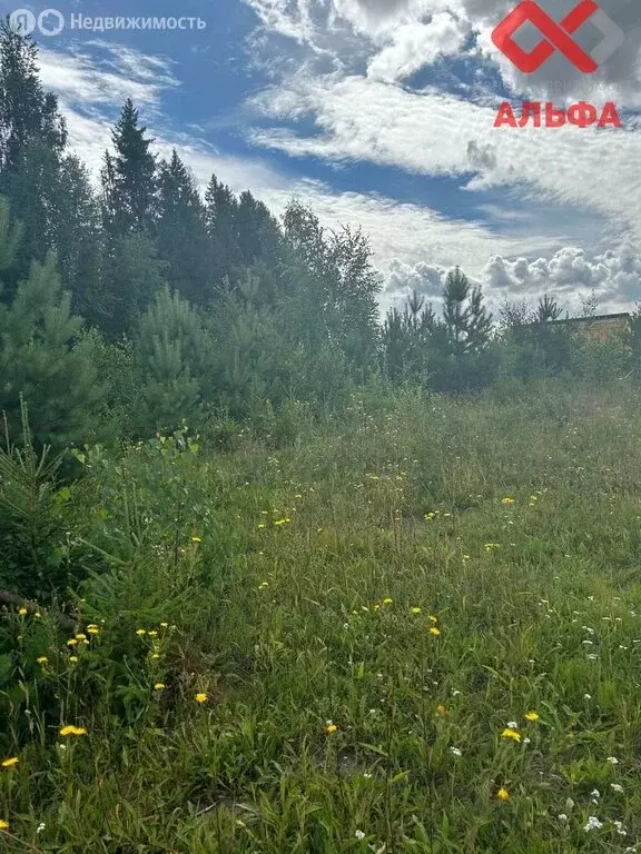 Участок в Шиховское сельское поселение, деревня Бабичи (16.92 м) - Фото 1
