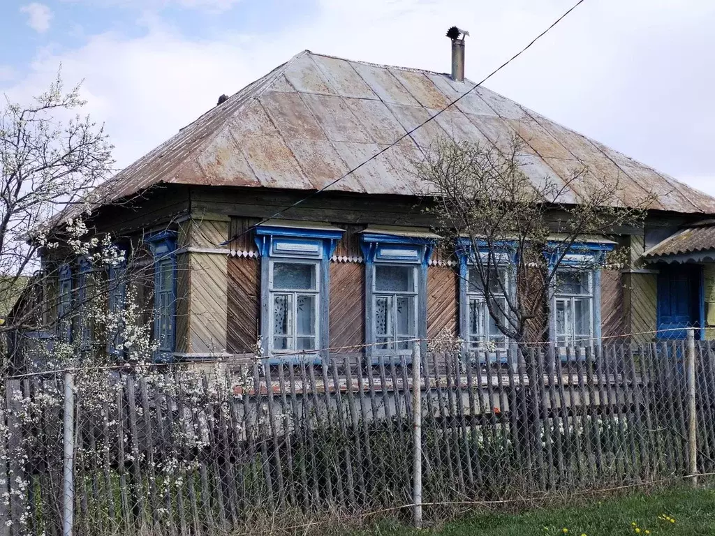 Дом в Ульяновская область, Тереньга рп ул. Гагарина (47 м) - Фото 0