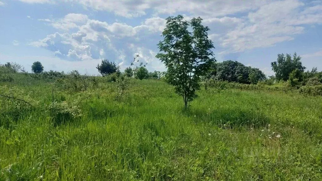 Участок в Владимирская область, Суздальский район, Павловское ... - Фото 0