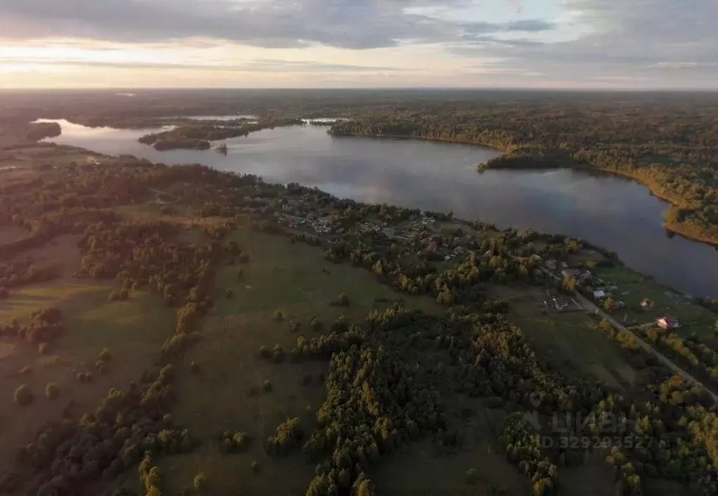 Участок в Новгородская область, Окуловский муниципальный район, ... - Фото 1