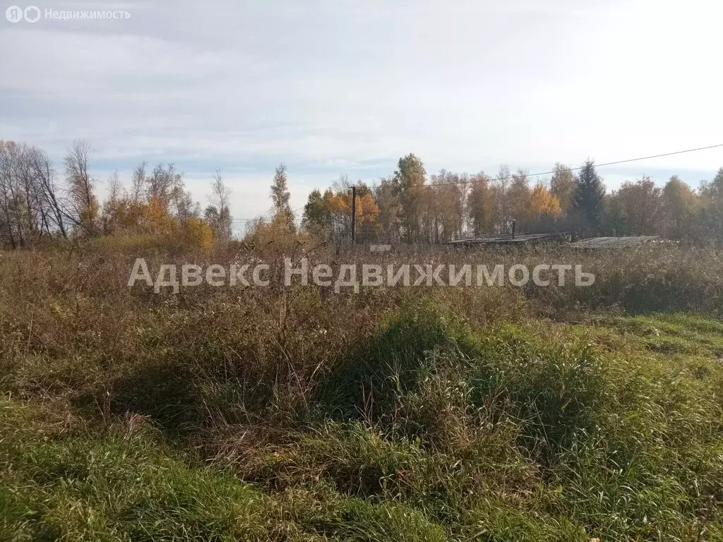 Участок в Ялуторовский район, садовое товарищество Виктория, Пихтовая ... - Фото 1