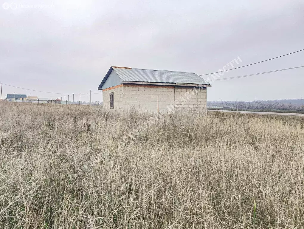 Участок в Мишкинская, Баклановский проспект (25 м) - Фото 1