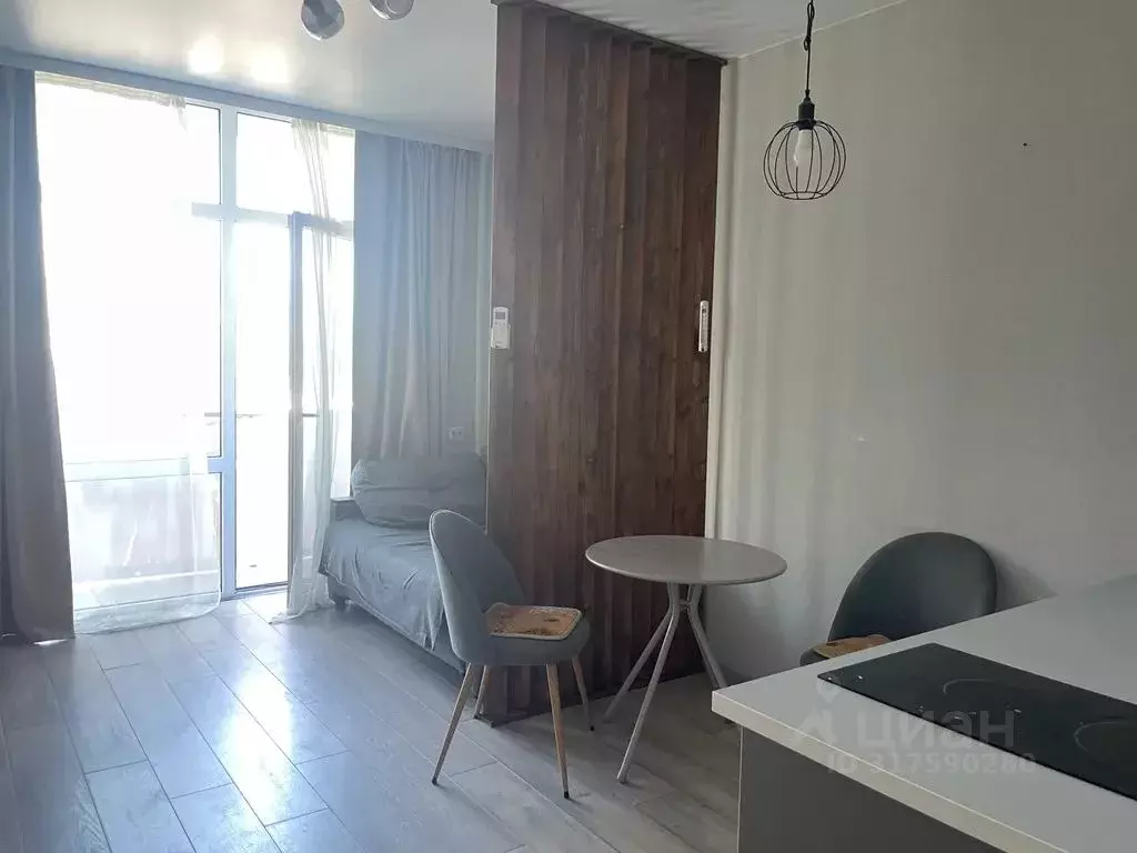 Студия Краснодарский край, Сочи ул. Гастелло, 27Б (30.0 м) - Фото 2