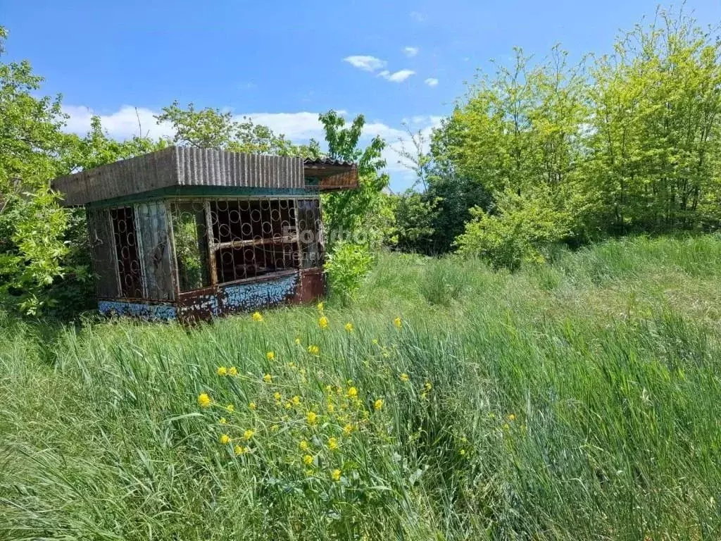 Участок в Крым, Феодосия Геотехник СПК, ул. Вишневая (6.0 сот.) - Фото 0