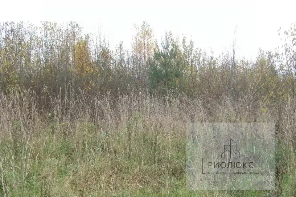 Участок в Челябинская область, Чесменский муниципальный округ, с. ... - Фото 1