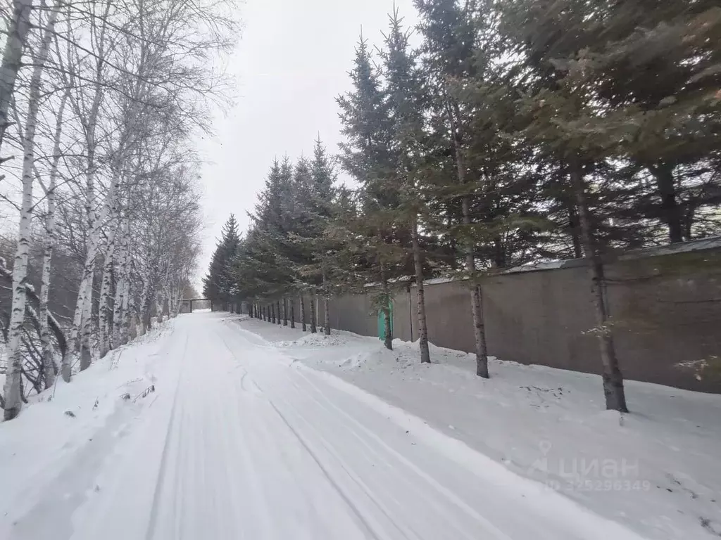 Коттедж в Хабаровский край, Хабаровский район, с. Константиновка, ... - Фото 2