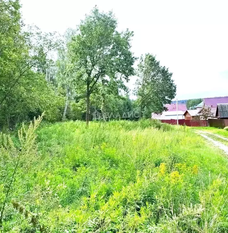 Участок в Калужская область, Боровский район, д. Кривское  (8.0 сот.) - Фото 0