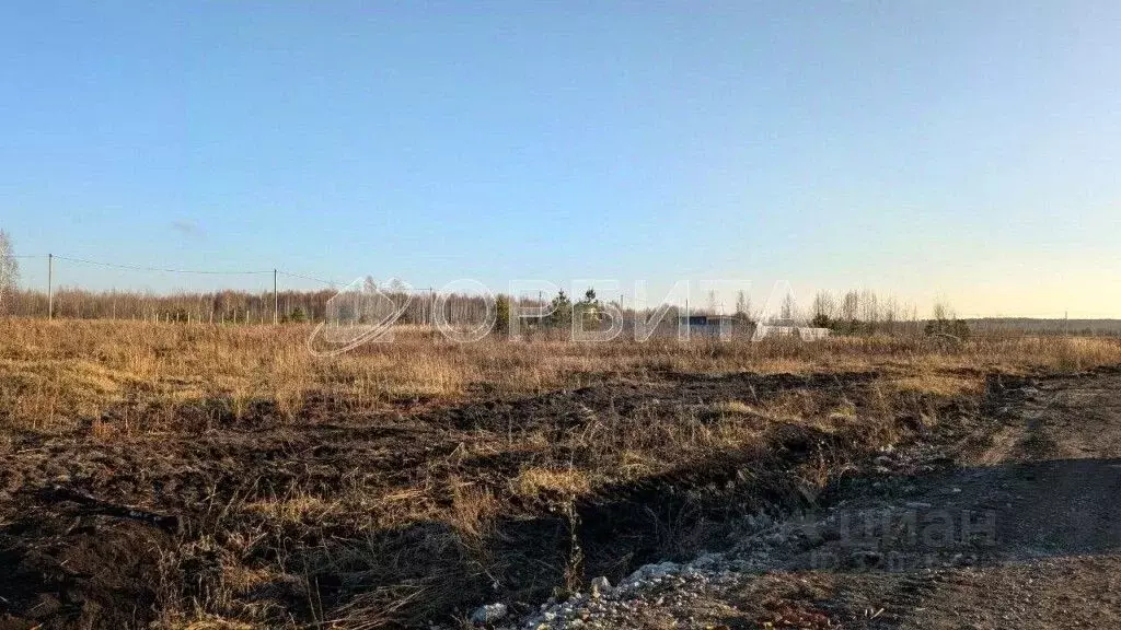 Участок в Тюменская область, Нижнетавдинский район, Царицыно СНТ  (9.5 ... - Фото 1