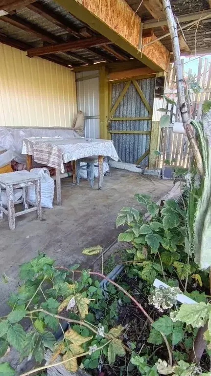 Дом в Оренбургская область, Орск № 6 ЮУМЗ СНТ, 56 (42 м) - Фото 2