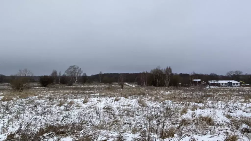Участок в Тульская область, Ясногорский район, Иваньковское с/пос, с. ... - Фото 2