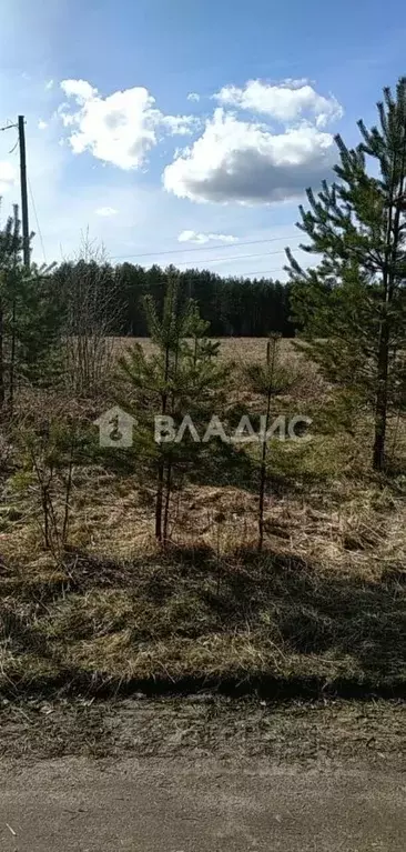 Участок в Карелия, Прионежский район, Шуйское с/пос, д. Косалма, ... - Фото 2