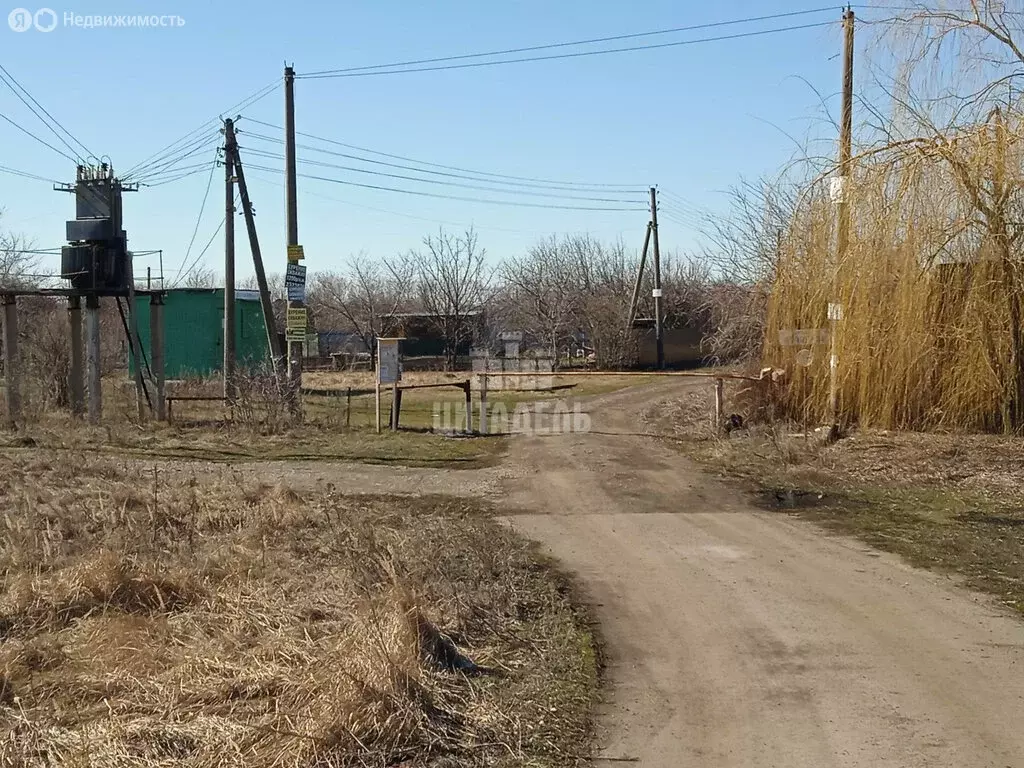 Участок в Каширский район, Боевское сельское поселение, СНТ ... - Фото 1
