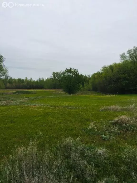 Участок в Ленинский район, село Покровка (9900 м) - Фото 1