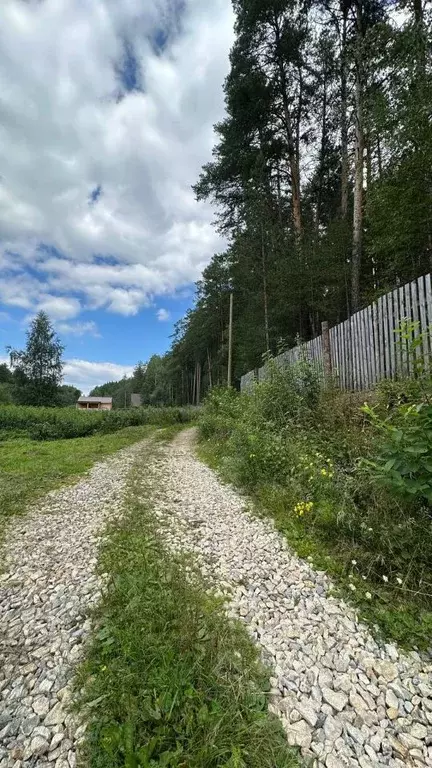 Участок в Свердловская область, Сысертский муниципальный округ  (12.0 ... - Фото 1