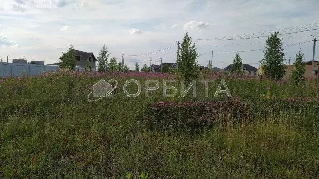 Участок в Тюменский район, село Кулига (11.9 м) - Фото 0