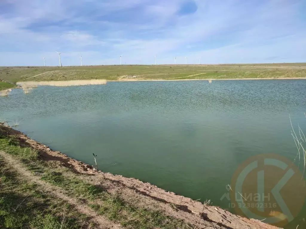 Участок в Крым, Черноморский район, с. Окуневка  (712.0 сот.) - Фото 1