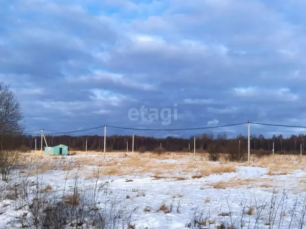 Участок в Ярославская область, Ярославский муниципальный округ, ... - Фото 1