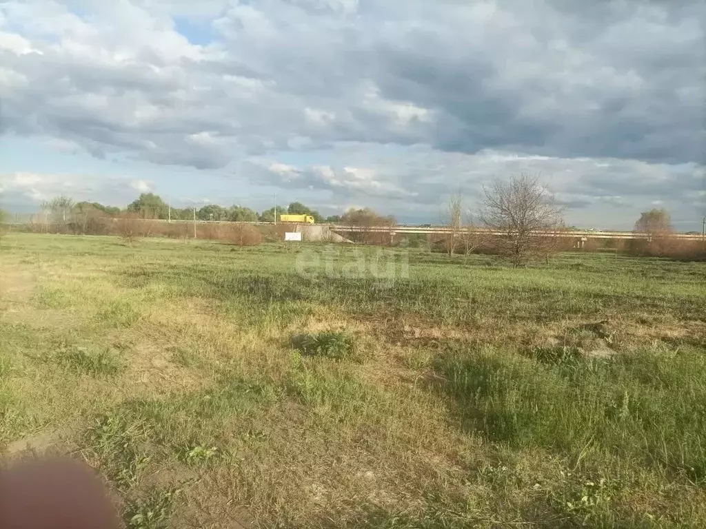 Участок в Воронежская область, Новоусманский район, с. Бабяково ... - Фото 0