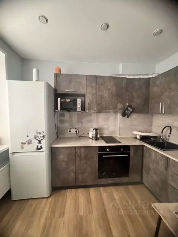 Студия Курганская область, Шадринск ул. Автомобилистов, 46 (23.5 м) - Фото 2