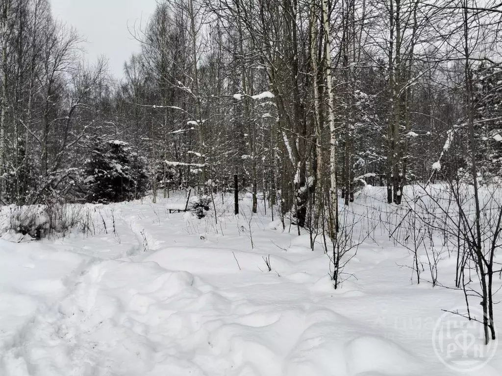 Участок в Ленинградская область, Выборгский район, Полянское с/пос, ... - Фото 2