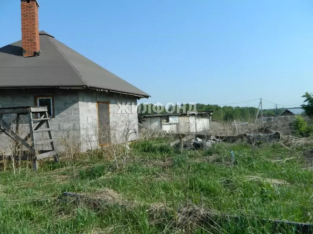 Дом в Новосибирская область, Новосибирский район, Новолуговской ... - Фото 1