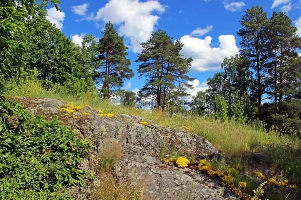 Участок в Карелия, Лахденпохский муниципальный округ, пос. Лумиваара  ... - Фото 2