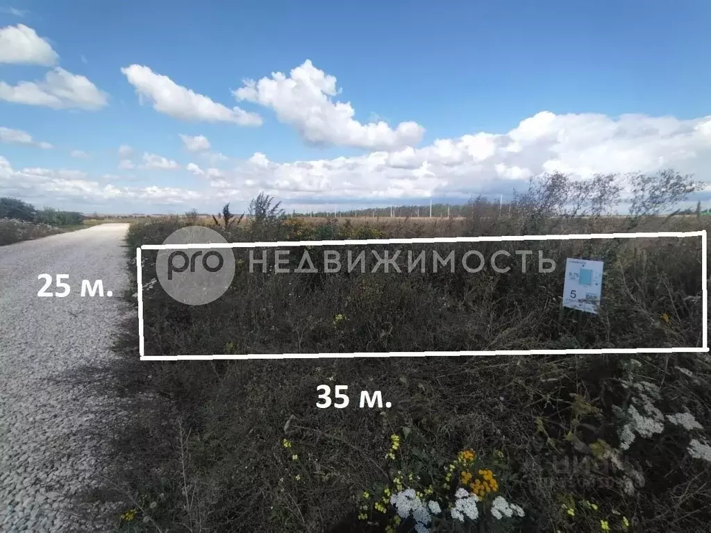 Участок в Рязанская область, Рязанский муниципальный округ, д. Рожок, ... - Фото 1
