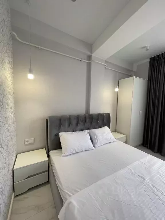 2-к кв. Краснодарский край, Сочи ул. Ленина, 86/1 (45.0 м) - Фото 0