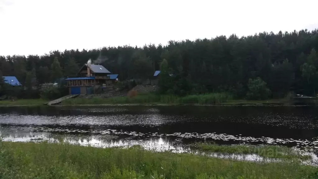 Участок в Ленинградская область, Волховский район, Иссадское с/пос, д. ... - Фото 2