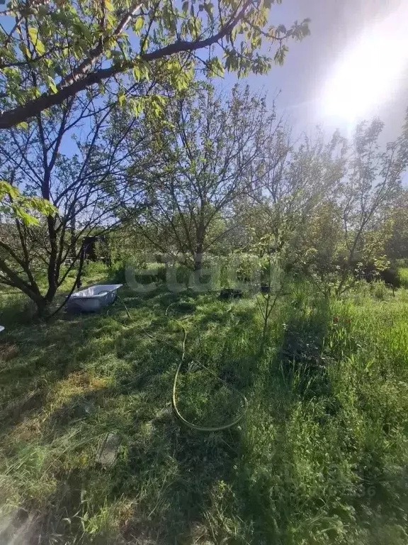 Участок в Ростовская область, Азовский район, Новоалександровское ... - Фото 1