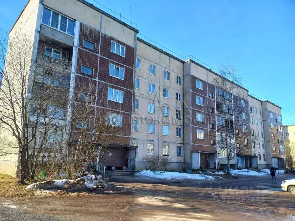 2-к кв. Ленинградская область, Бокситогорский район, Ефимовское ... - Фото 1