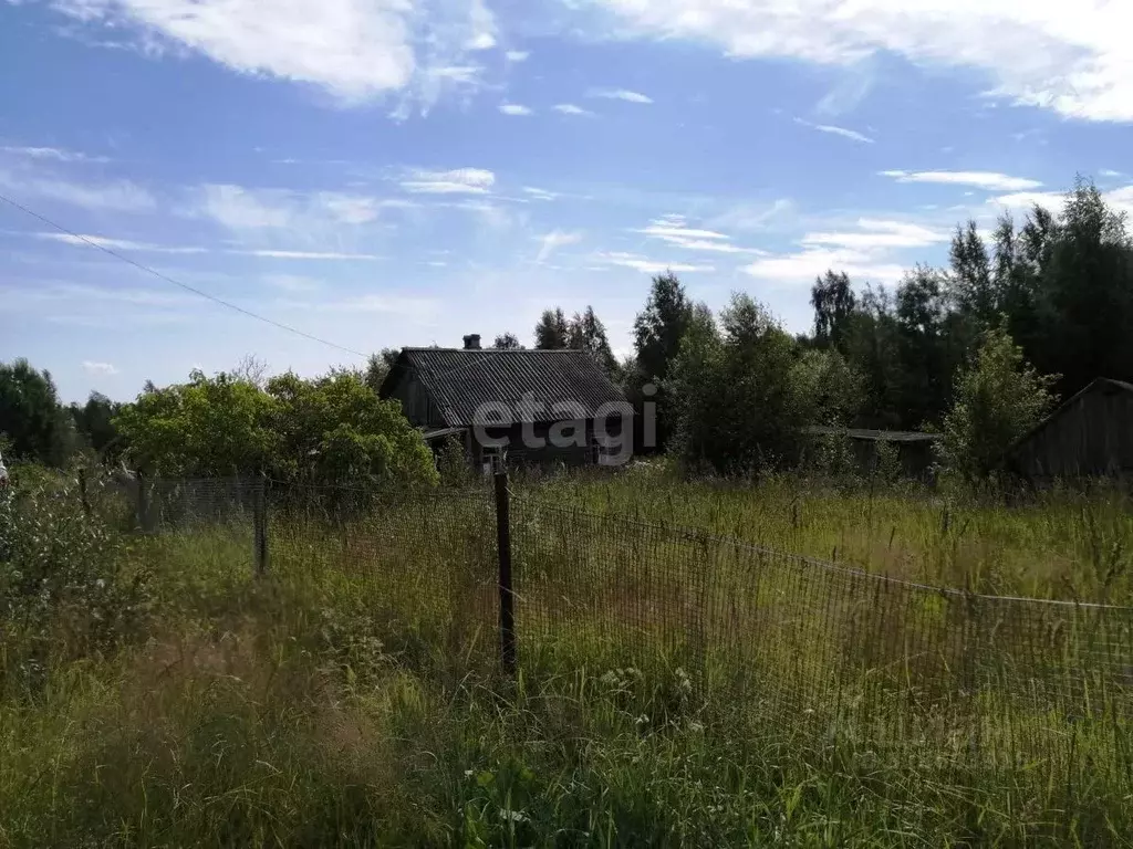 Участок в Карелия, Прионежский район, пос. Ладва-Ветка  (39.0 сот.) - Фото 0